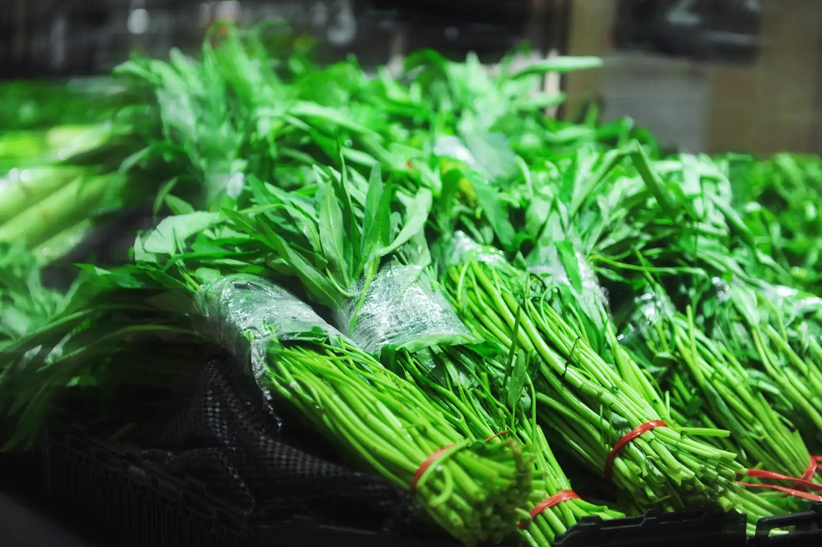通讯设备与仪器仪表在自动化生产线中的协同应用解析