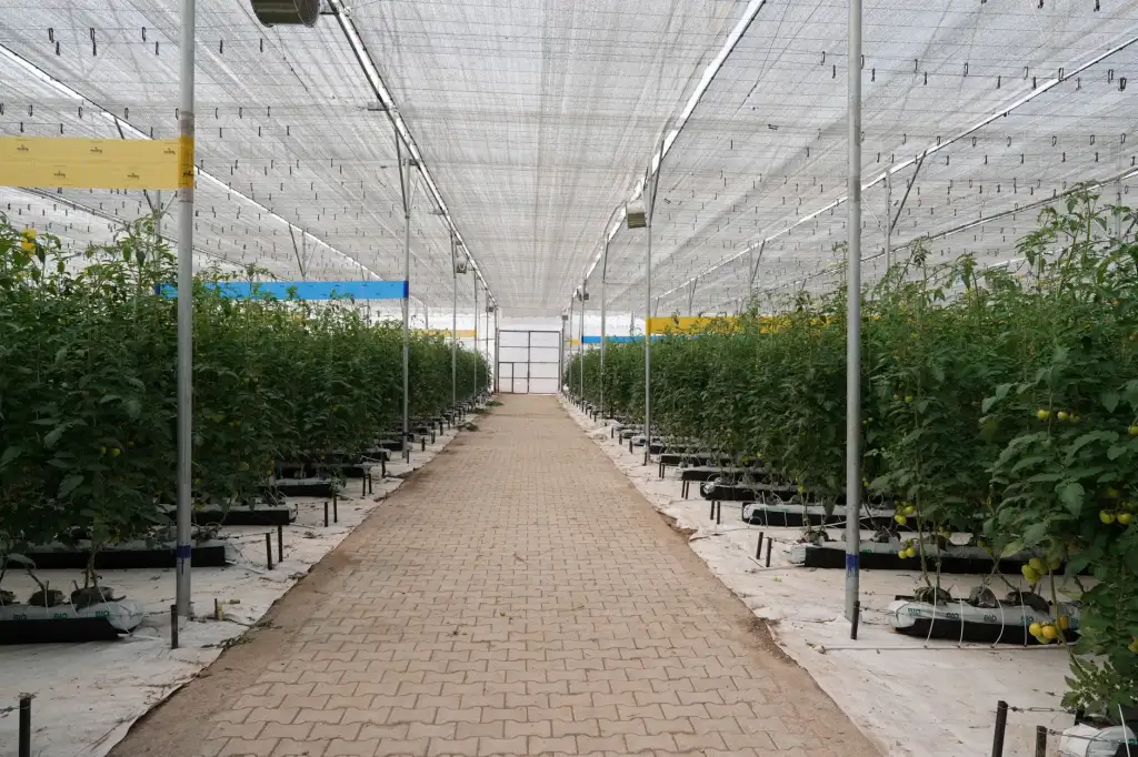 工业自动化设备与仪器仪表在西南制造业中的典型应用案例
