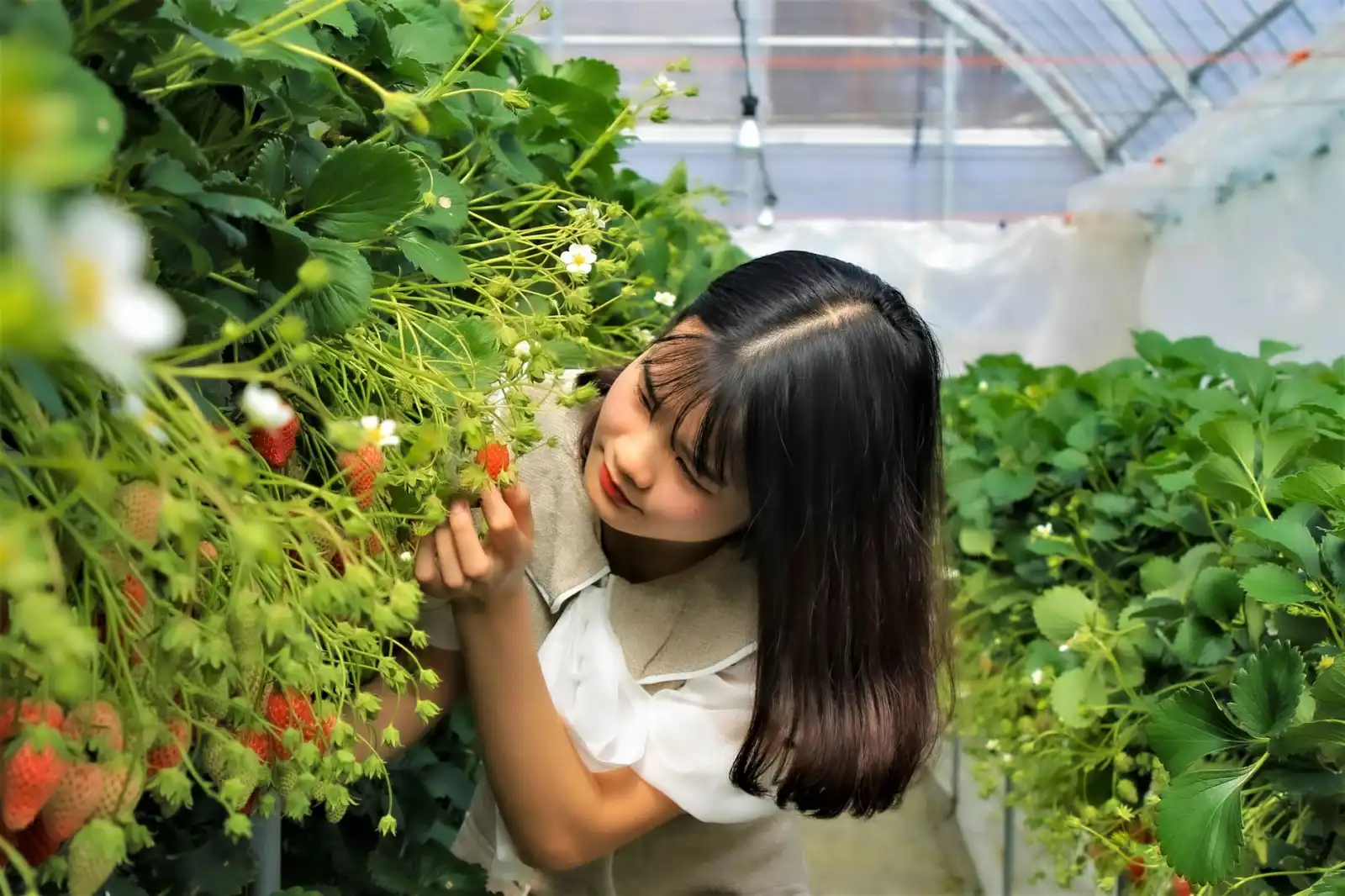 电子元器件选型指南：如何匹配工业控制与自动化设备需求