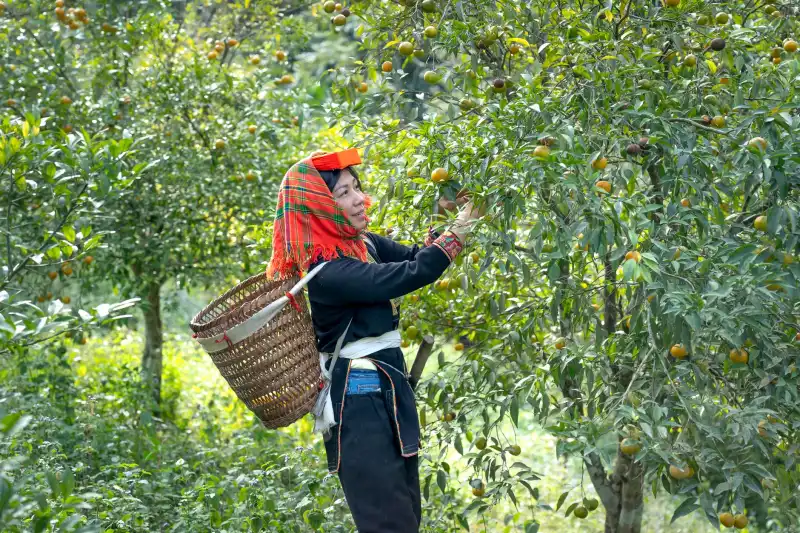 电子元器件选型指南：重庆制造企业如何匹配工业控制与自动化需求