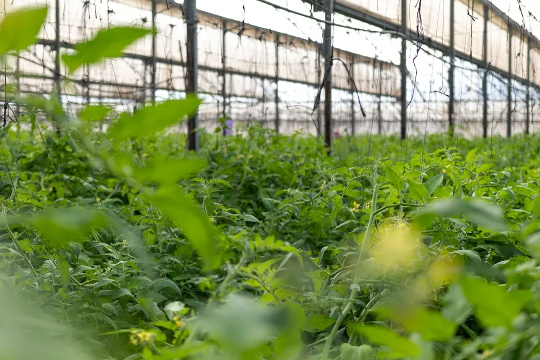 西南地区制造企业自动化设备选型要点与常见误区分析